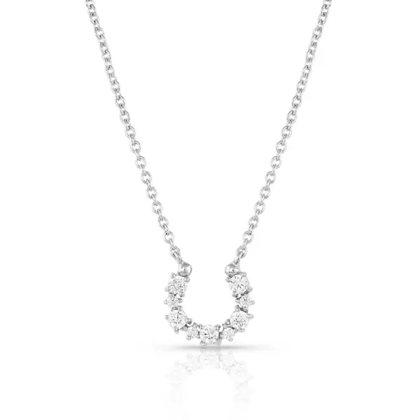 Montana Silversmiths Longline Crystal Horseshoe Necklace