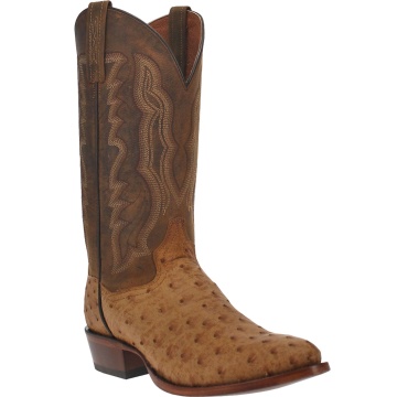 Mens Dan Post Ostrich Boot